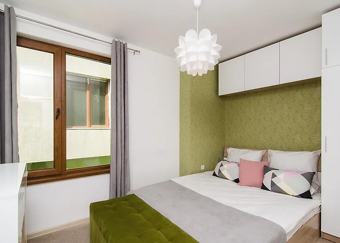 The Cozy * 바르나